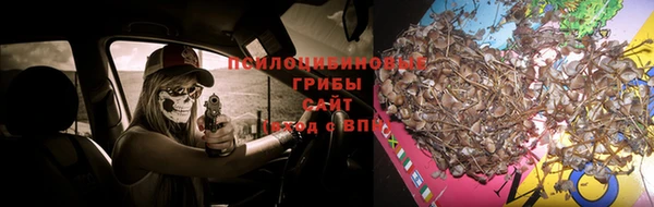 марки nbome Алексин