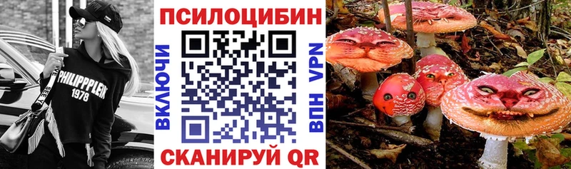 Галлюциногенные грибы Magic Shrooms  Курчатов 
